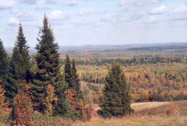 Природа Татарстана